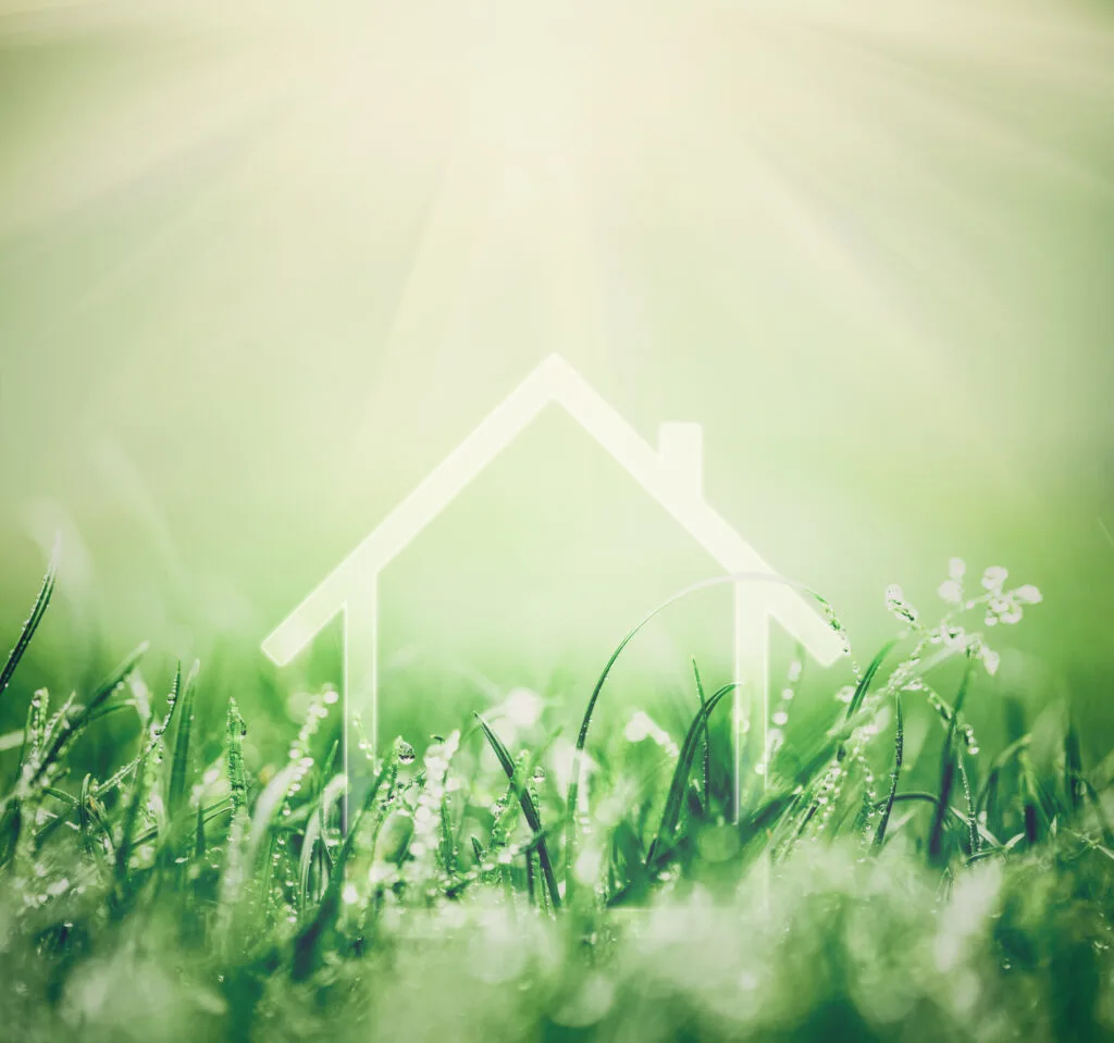 Home concept in fresh green grass. Clean house